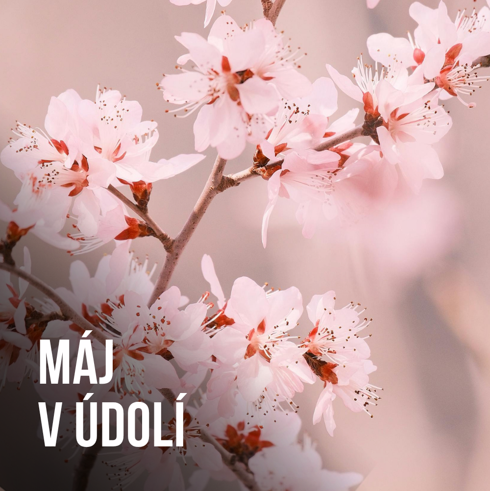 Akce v údolí